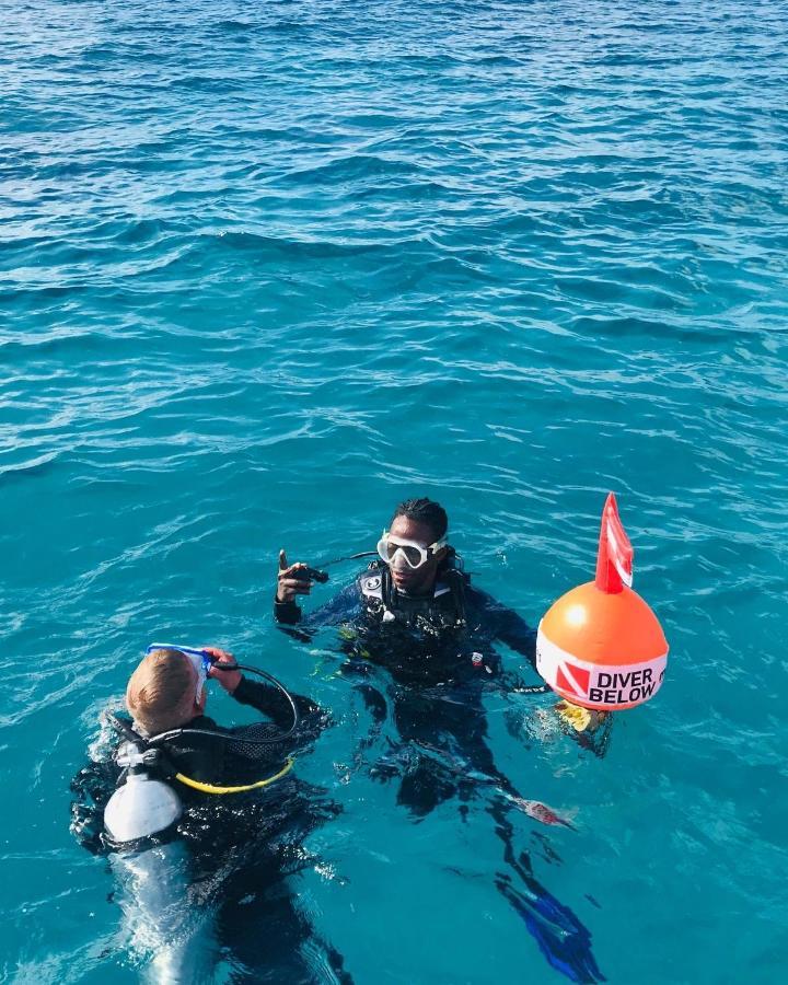 Dive Planet Mafia Island Utende Extérieur photo