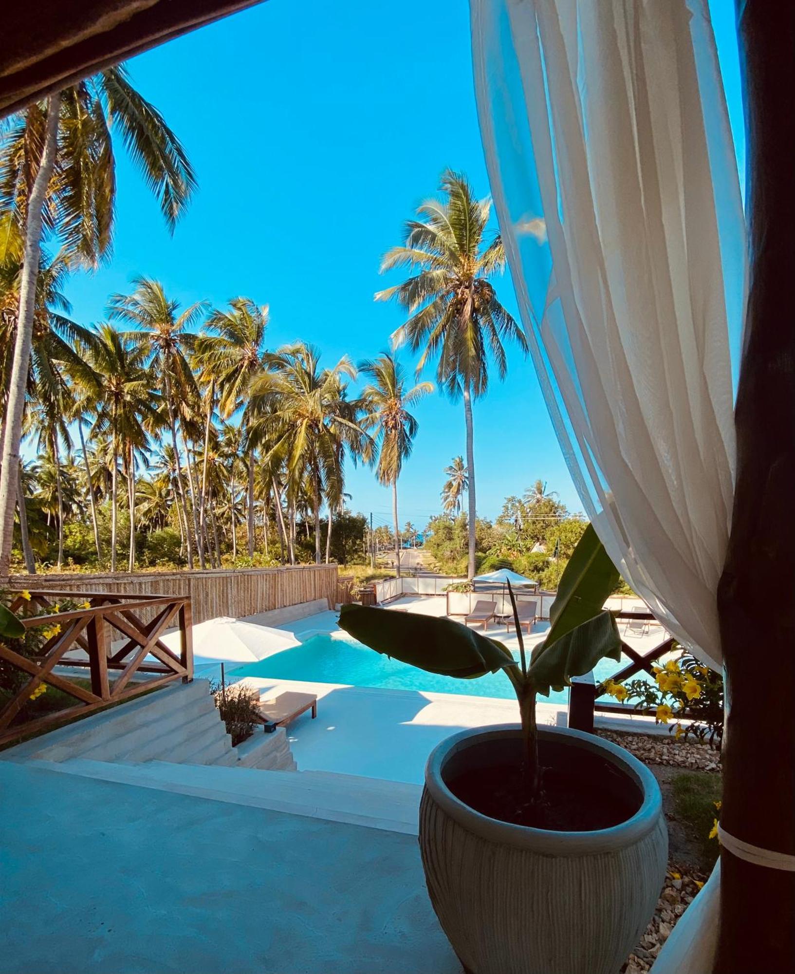 Dive Planet Mafia Island Utende Extérieur photo